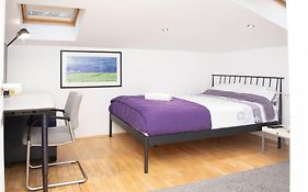 Lovely 2Bdr Loft Apartment